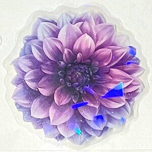 🌀10/$10🌀 Flowers Translucent Holographic Reusable Waterproof Vinyl Sticker Dec